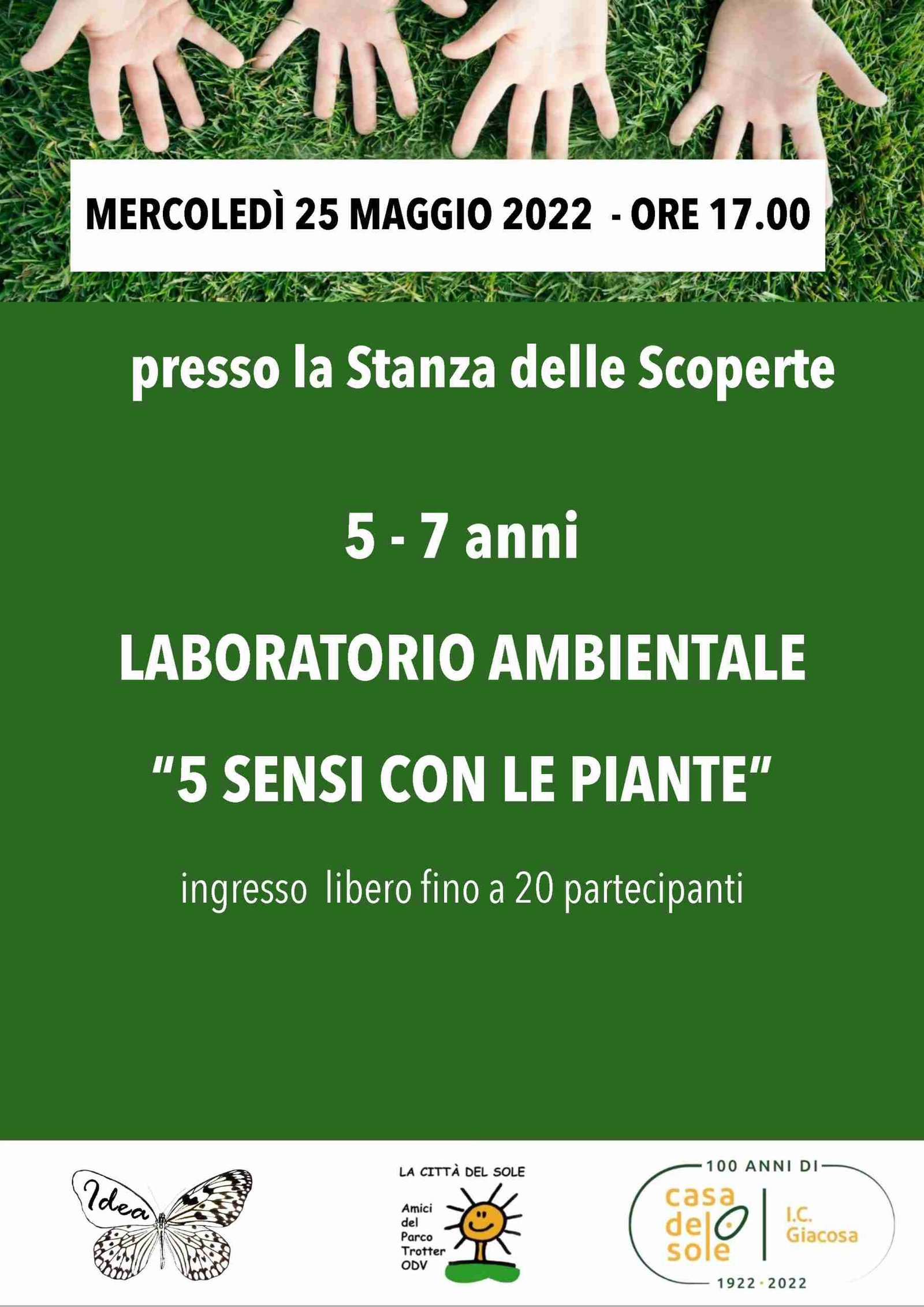 5 Sensi con le Piante